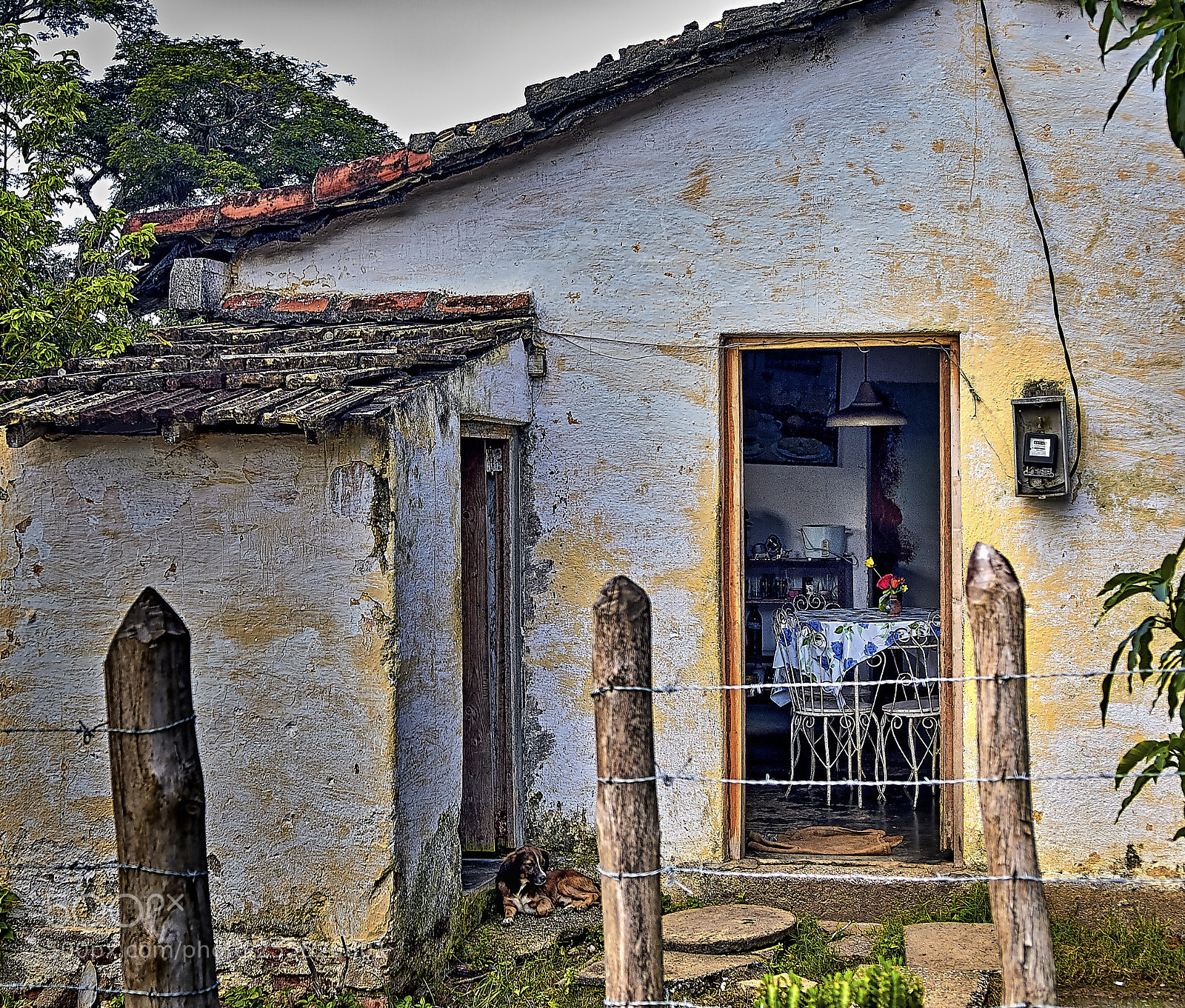 Nikon D2X sample photo. Puertas abiertas photography
