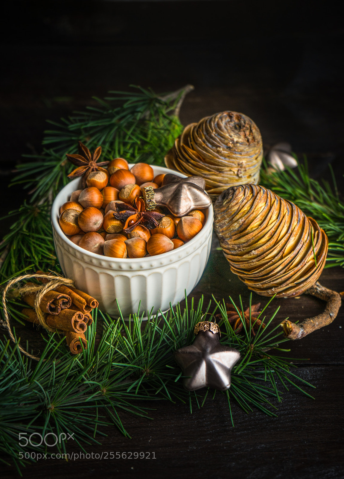 Sony a7 sample photo. Christmas holiday card photography