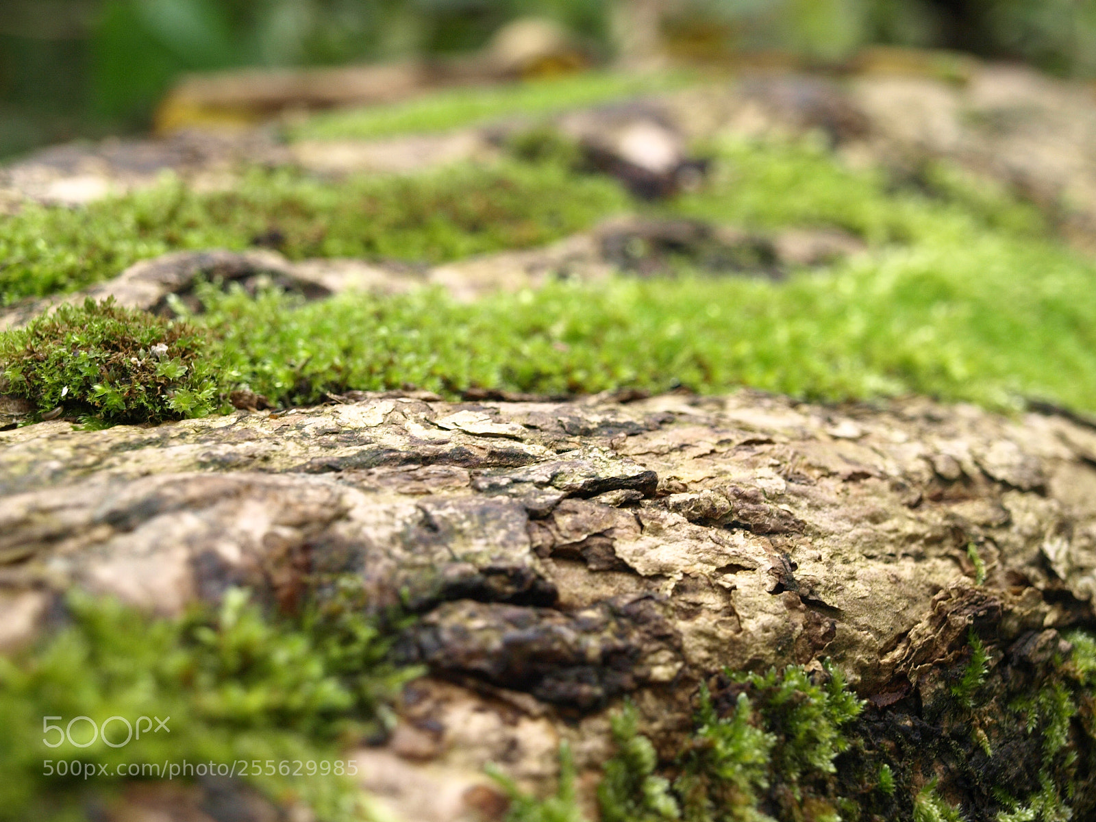 Olympus E-510 (EVOLT E-510) sample photo. Landscape photography