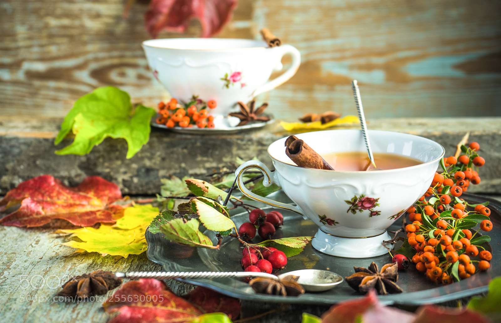 Sony a7 sample photo. Autumnal concept with yellow photography