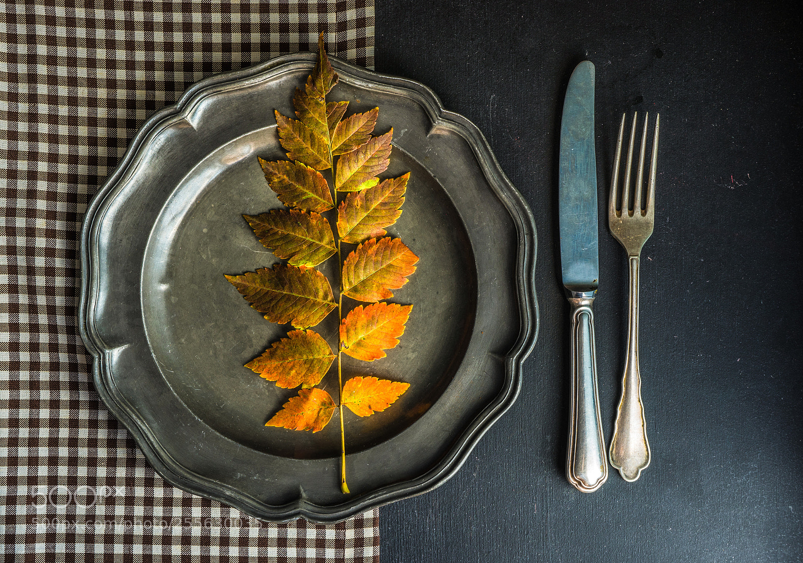 Sony a7 sample photo. Autumnal concept with yellow photography