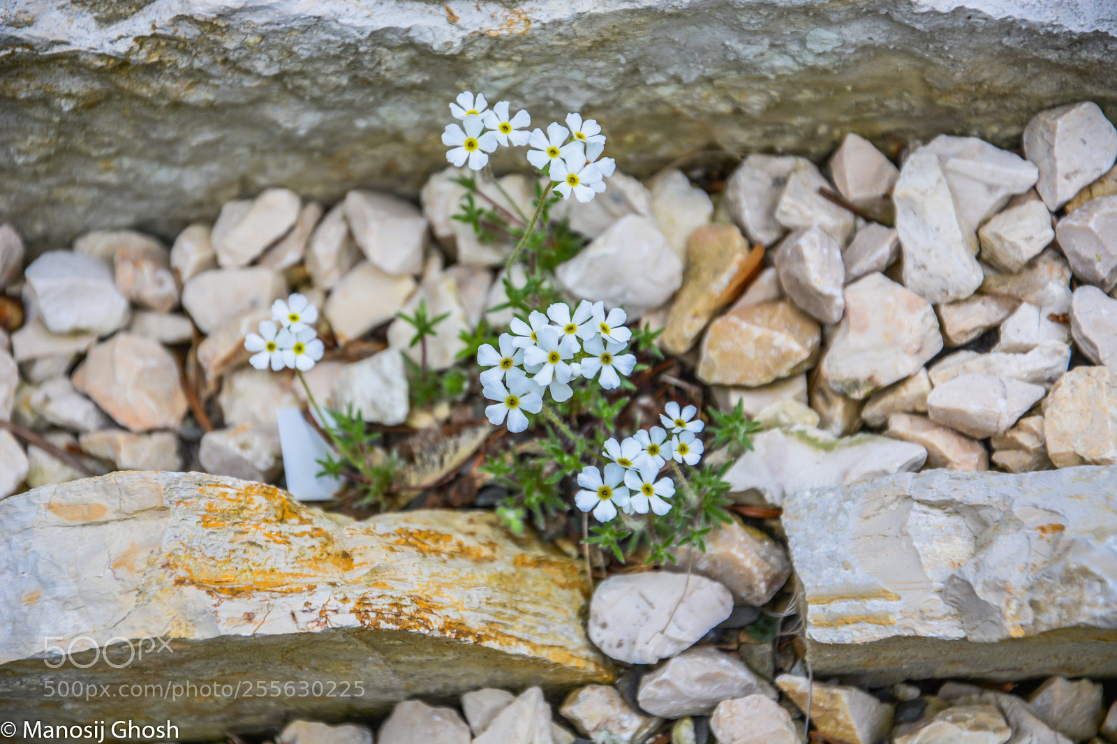 Nikon D5200 sample photo. . photography