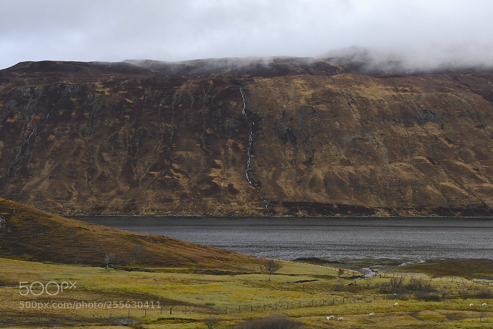 Nikon D7500 sample photo. En ecosse dans les photography