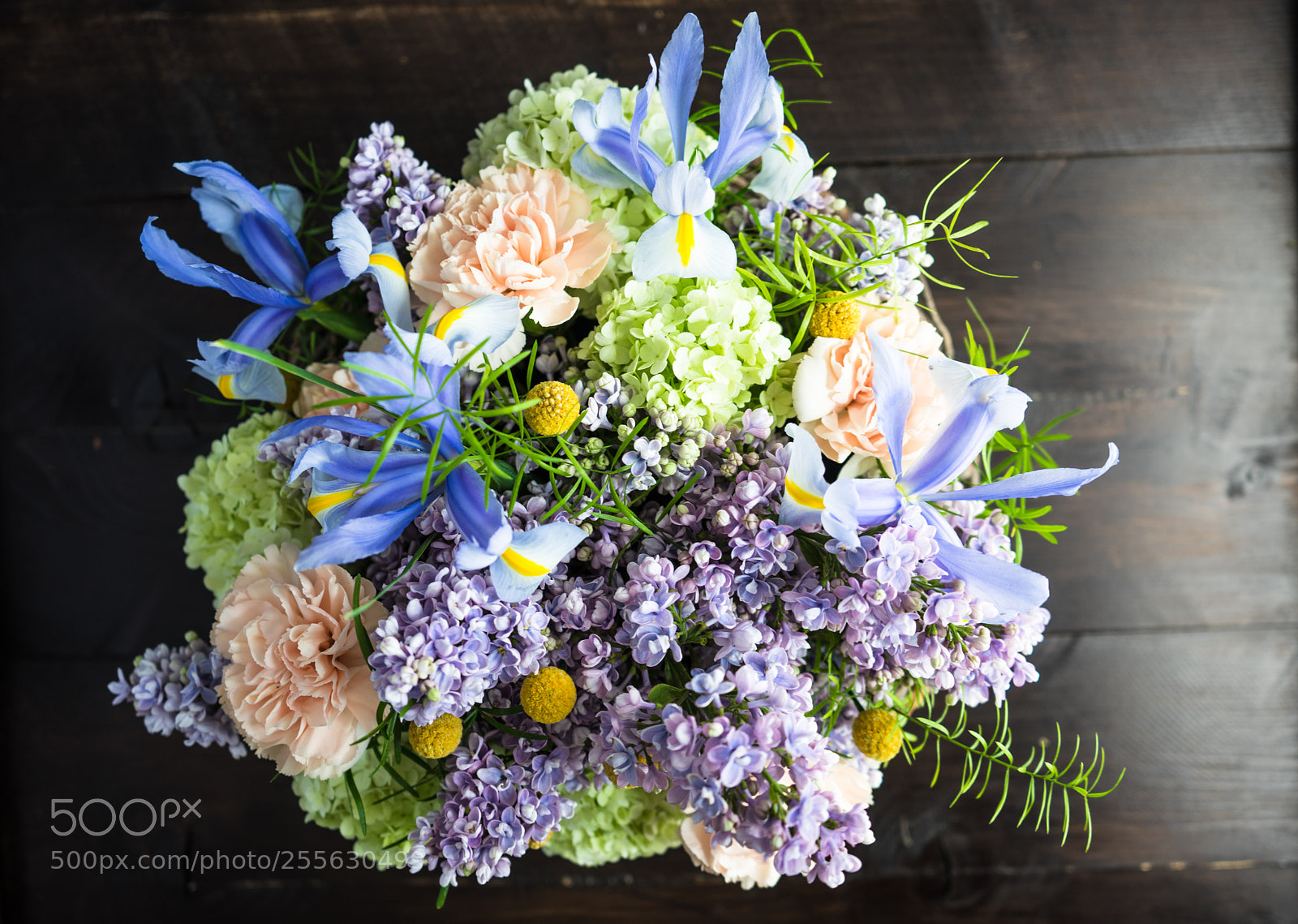 Sony a7 sample photo. Floral concept for card photography