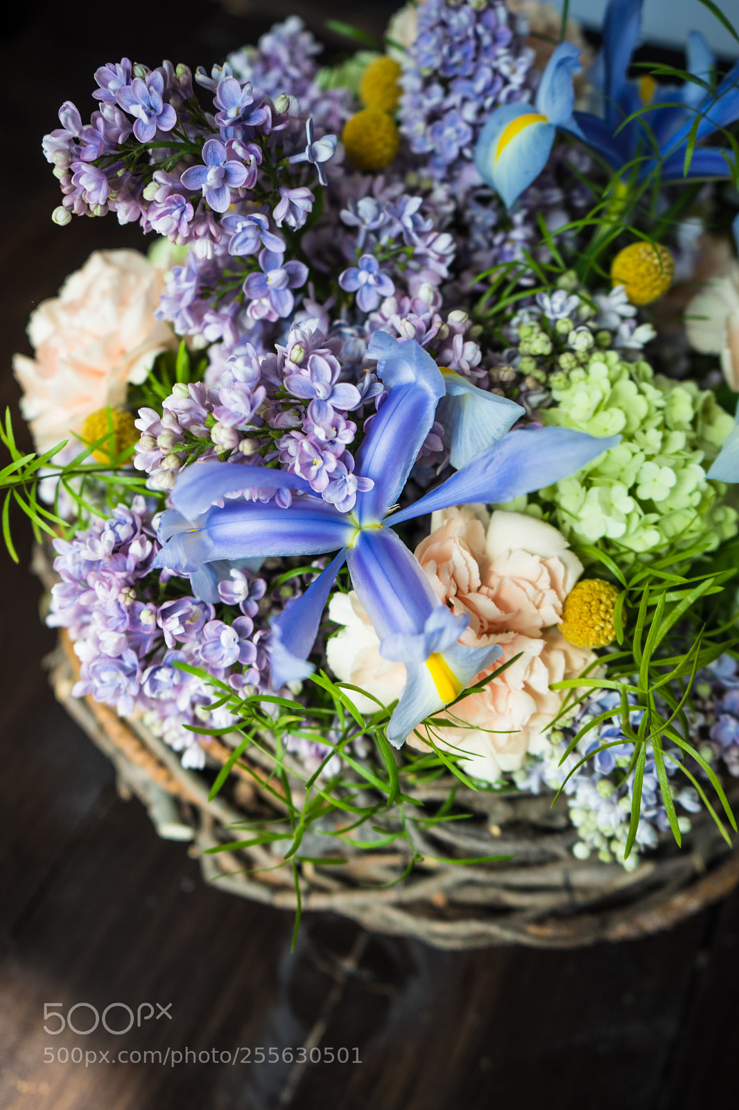 Sony a7 sample photo. Floral concept for card photography