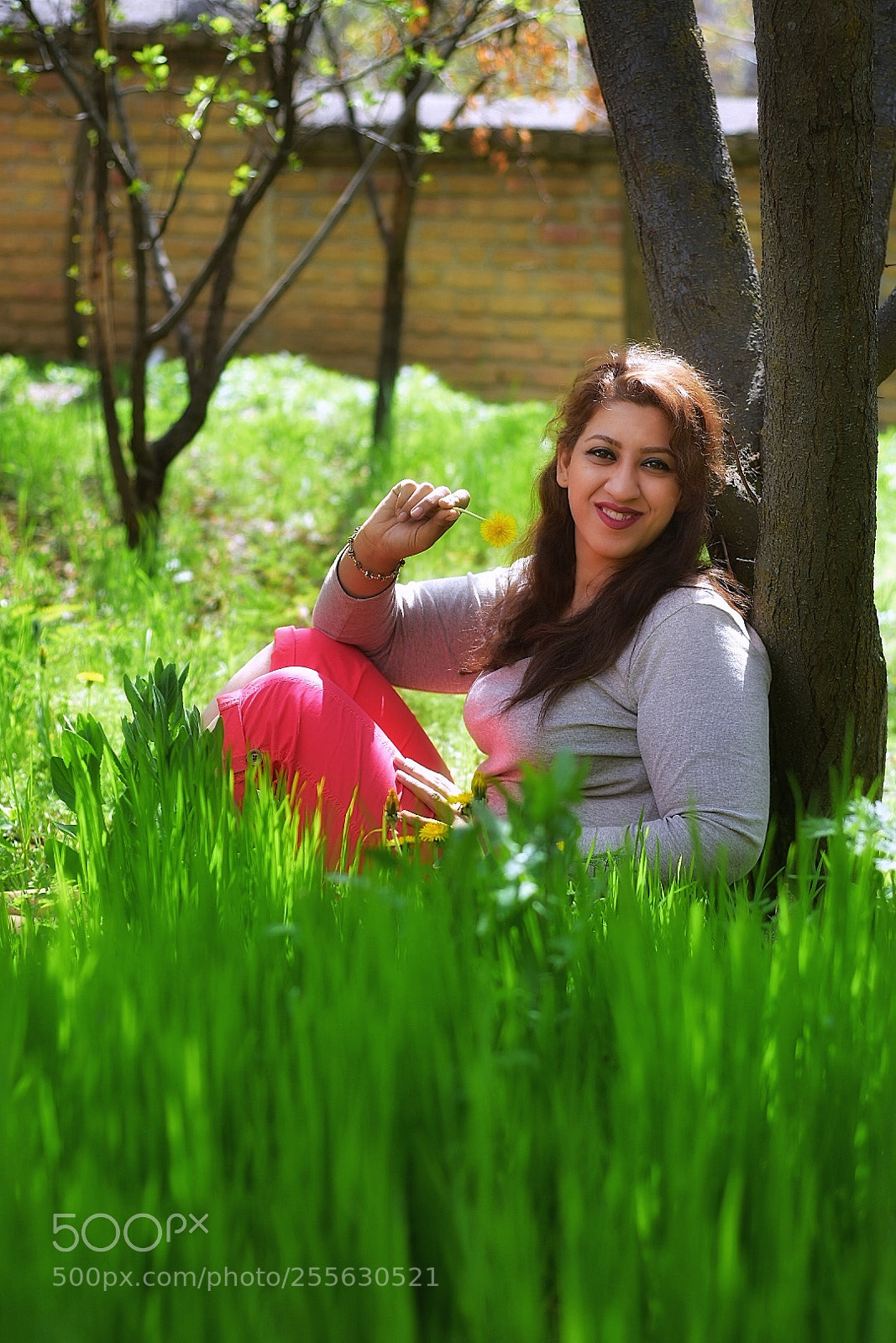Nikon D7200 sample photo. Untitled photography
