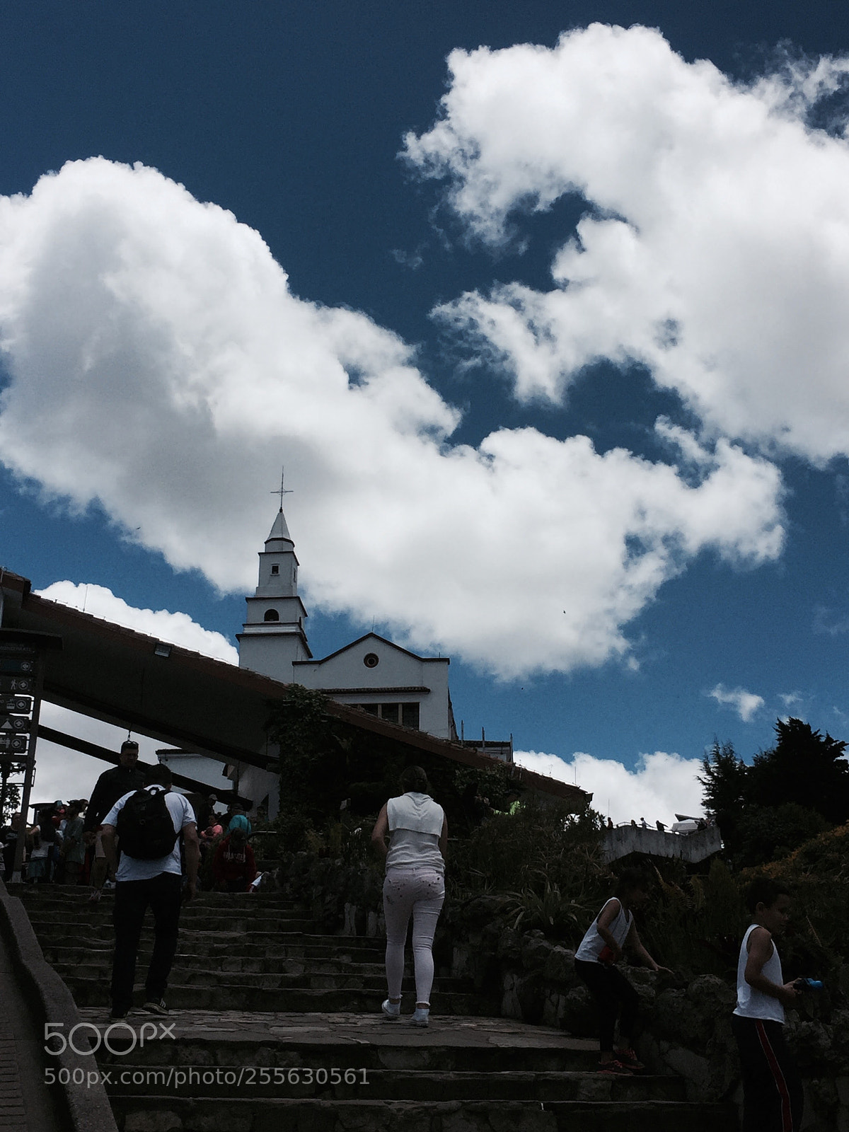 Apple iPhone 6 sample photo. Img photography