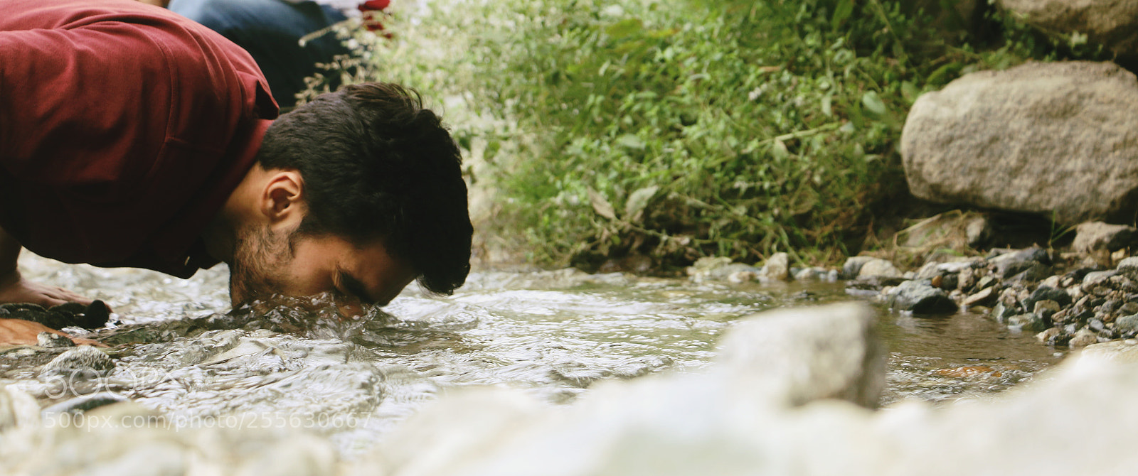 Canon EOS 70D sample photo. Into wild photography