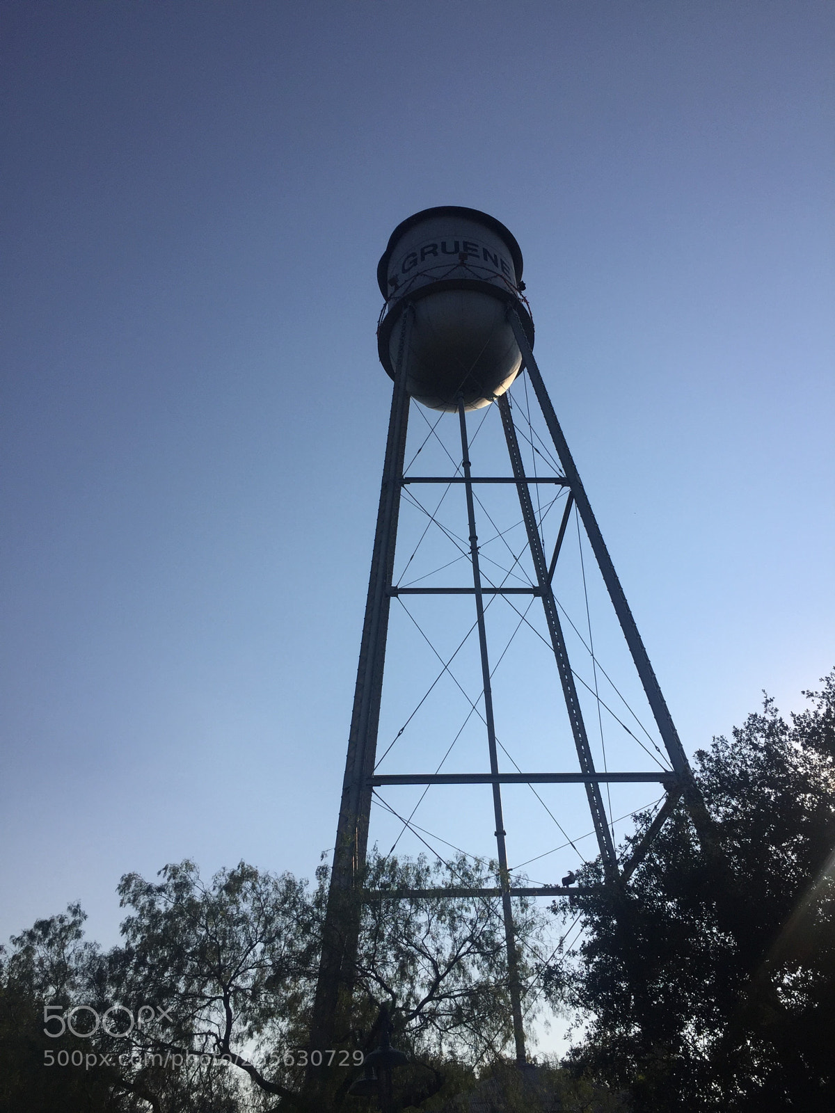 Apple iPhone 6 sample photo. Img photography