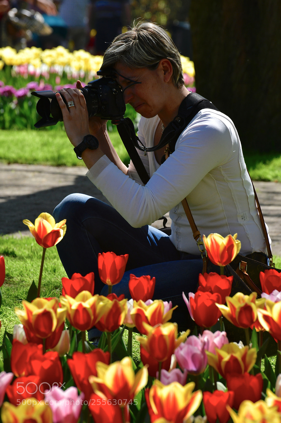 Nikon D850 sample photo. ... portrait of a photographer photography