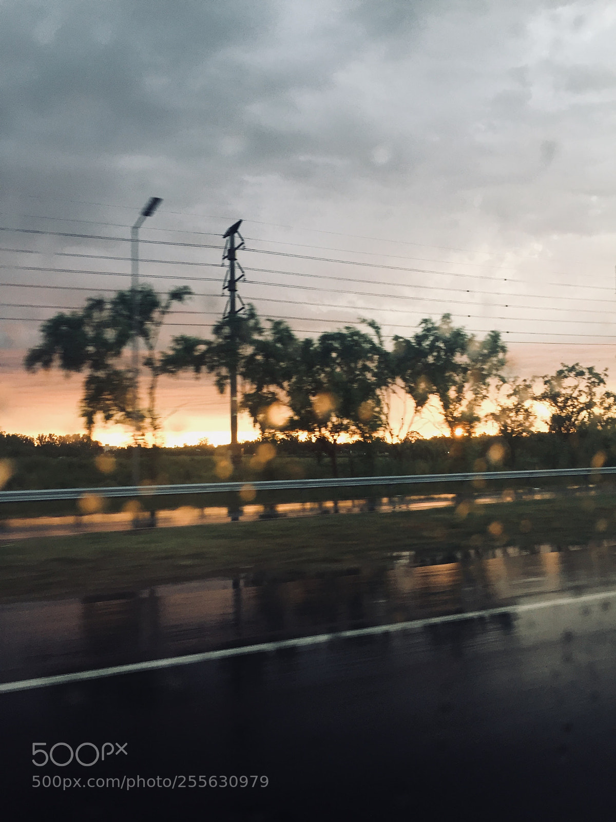 Apple iPhone 6 sample photo. () photography