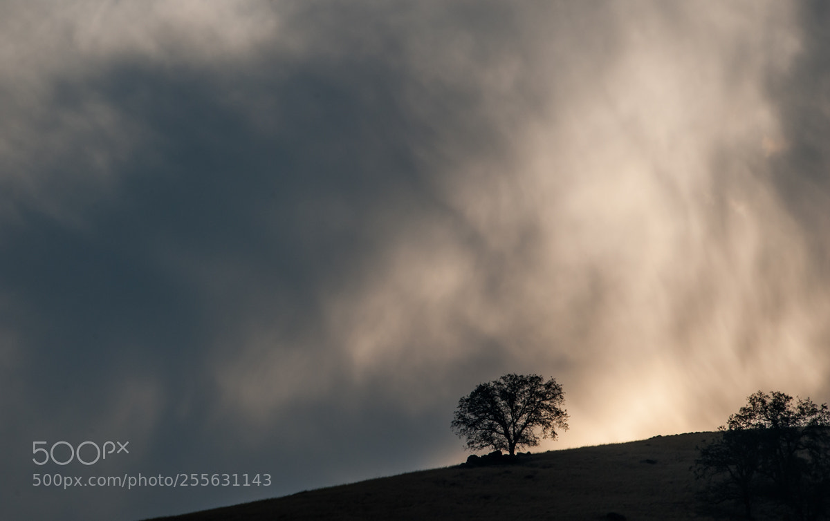 Nikon D200 sample photo. Dramatic - central valley photography
