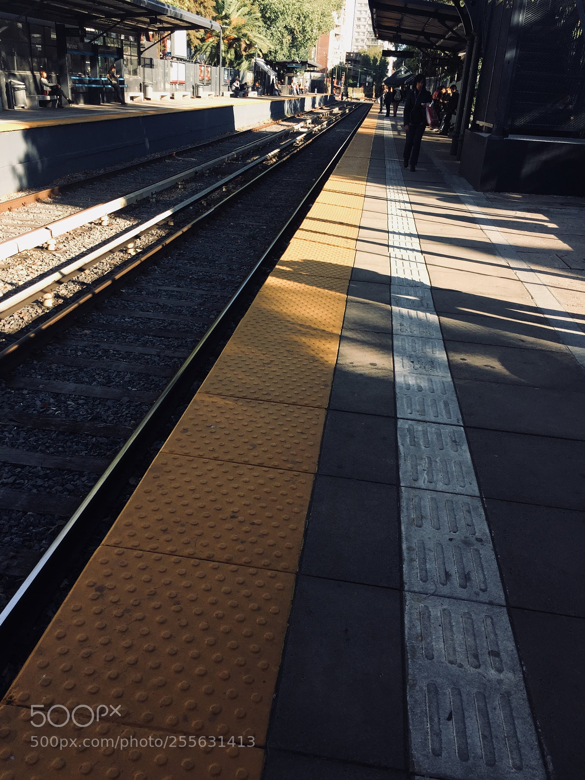 Apple iPhone 6 sample photo. Img photography