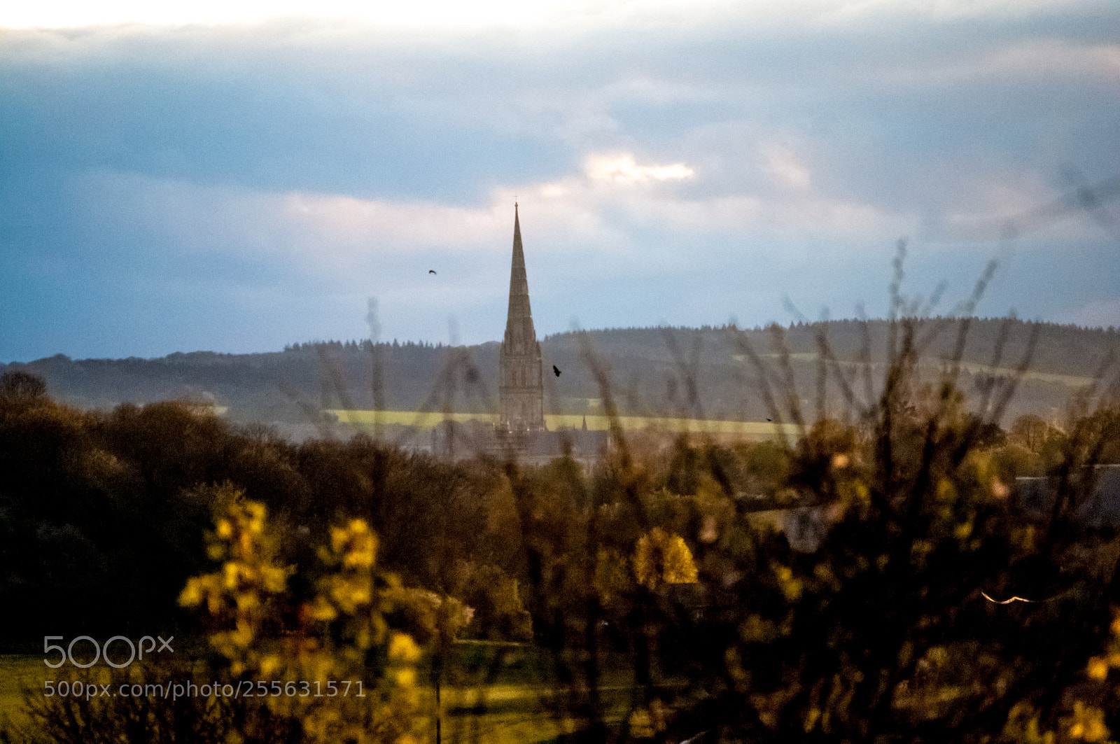 Nikon D5000 sample photo. Salisbury cathedral photography