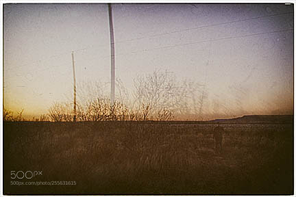 Nikon D7000 sample photo. The road photography