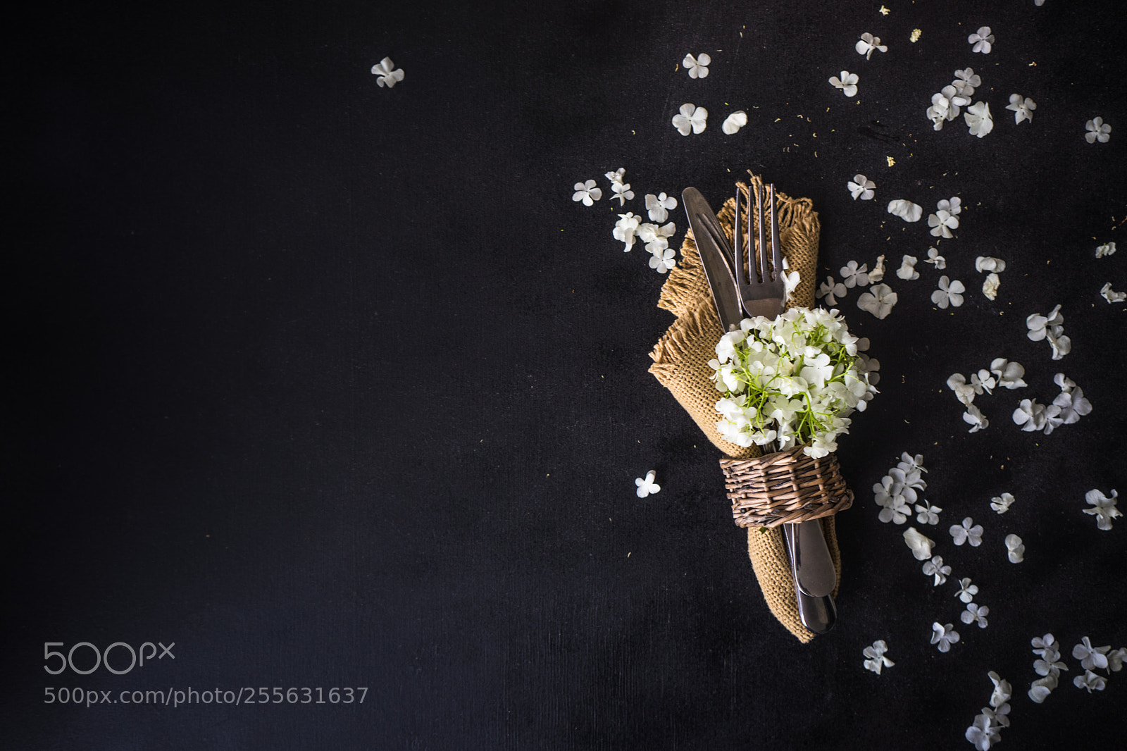 Sony a7 sample photo. Floral concept for card photography
