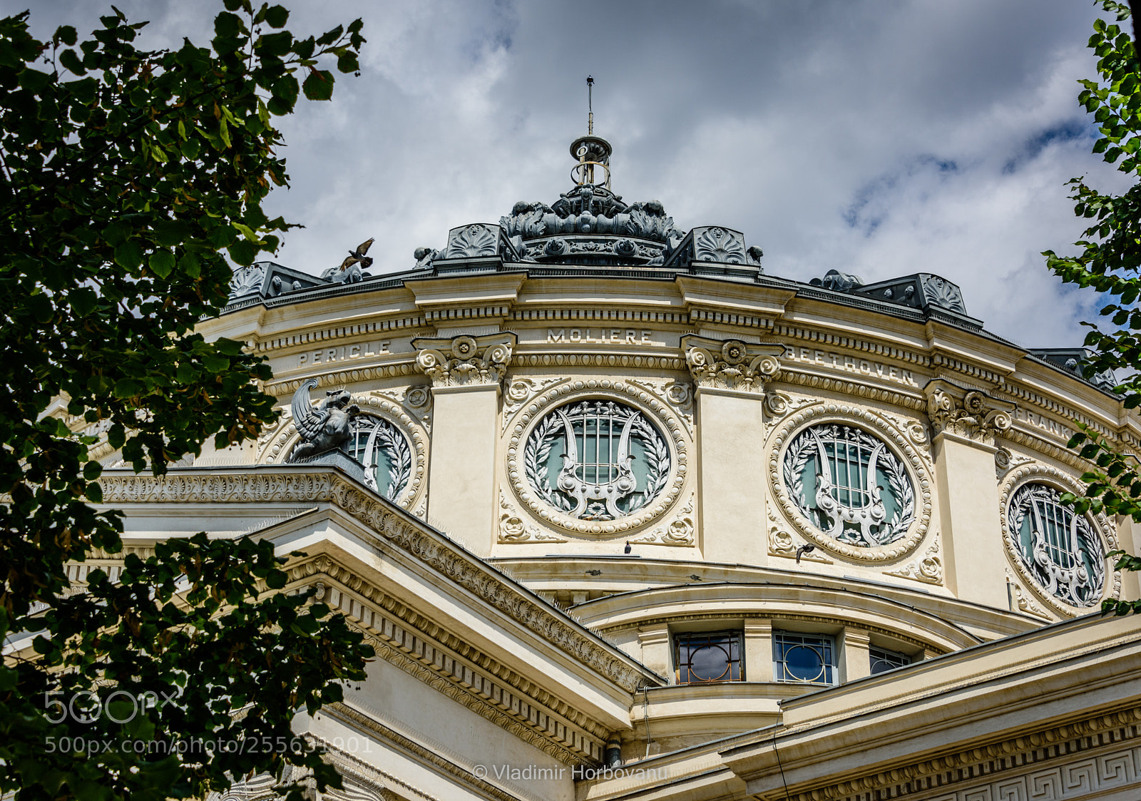 Nikon D810 sample photo. Romanian athenaeum detail photography