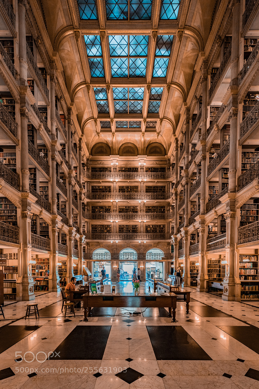 Canon EOS 5D Mark IV sample photo. The library photography