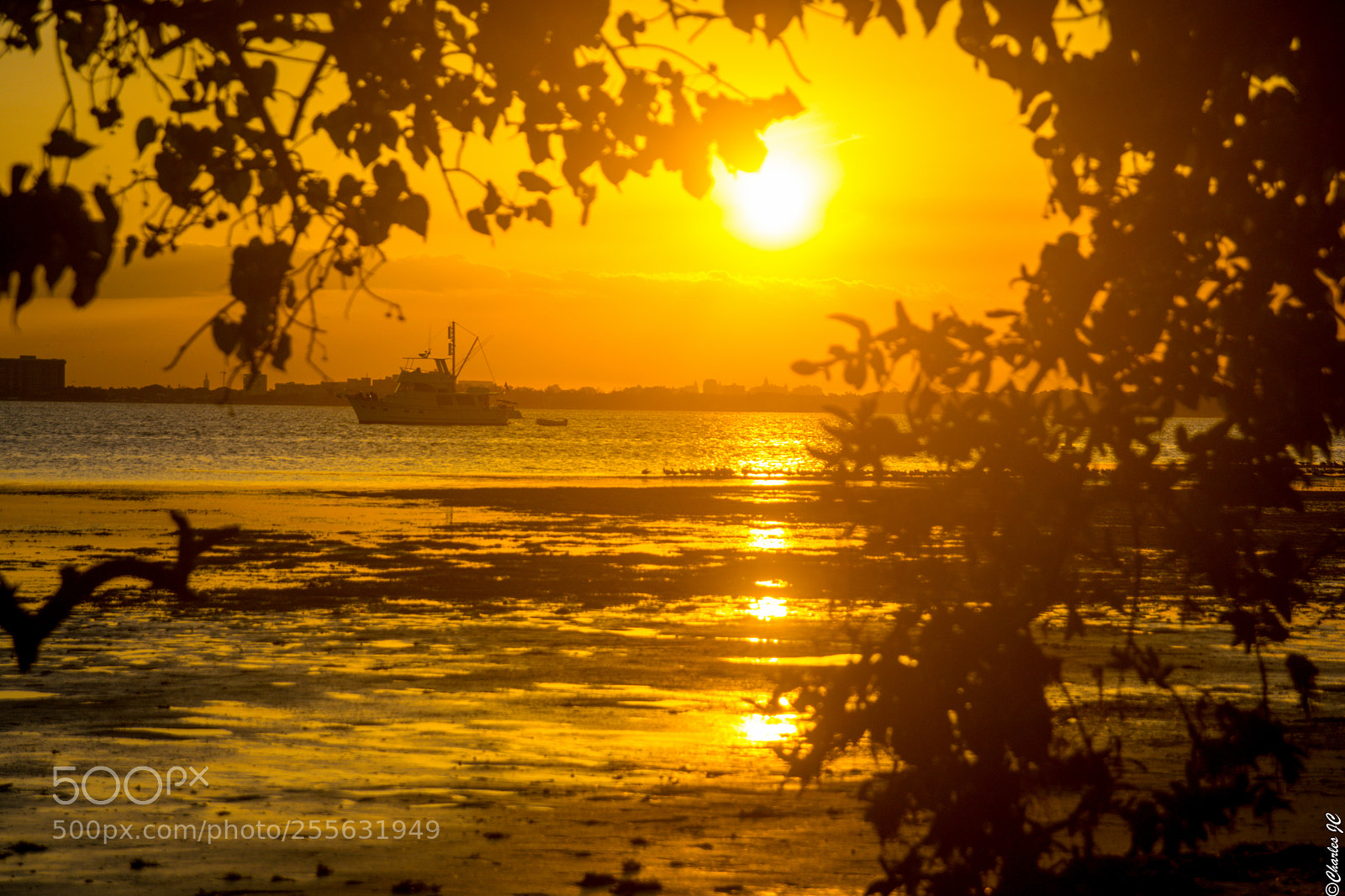 Nikon D5300 sample photo. Sunset in the bay photography
