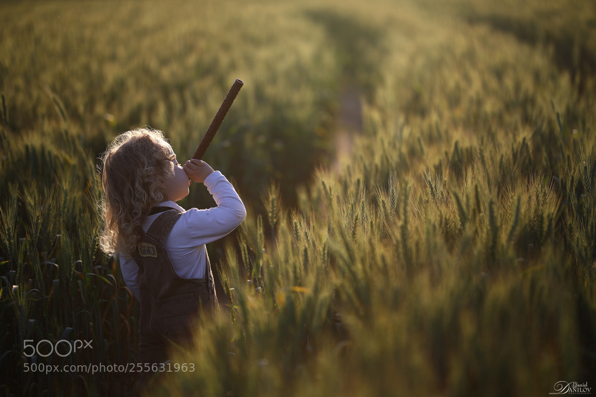 Canon EOS 5D Mark IV sample photo. Melody of spring photography