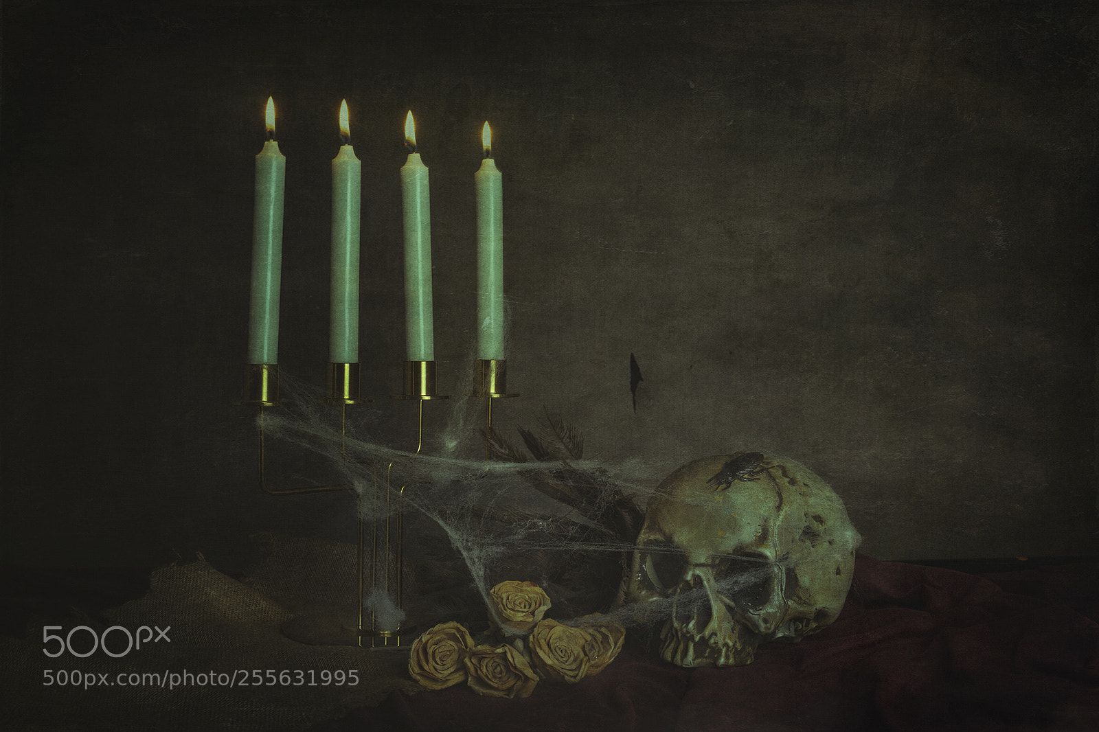 Canon EOS 6D sample photo. Still life with skull. photography