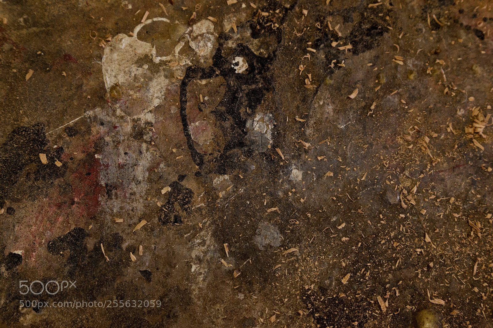 Canon EOS 5D Mark II sample photo. Abstract 17 photography