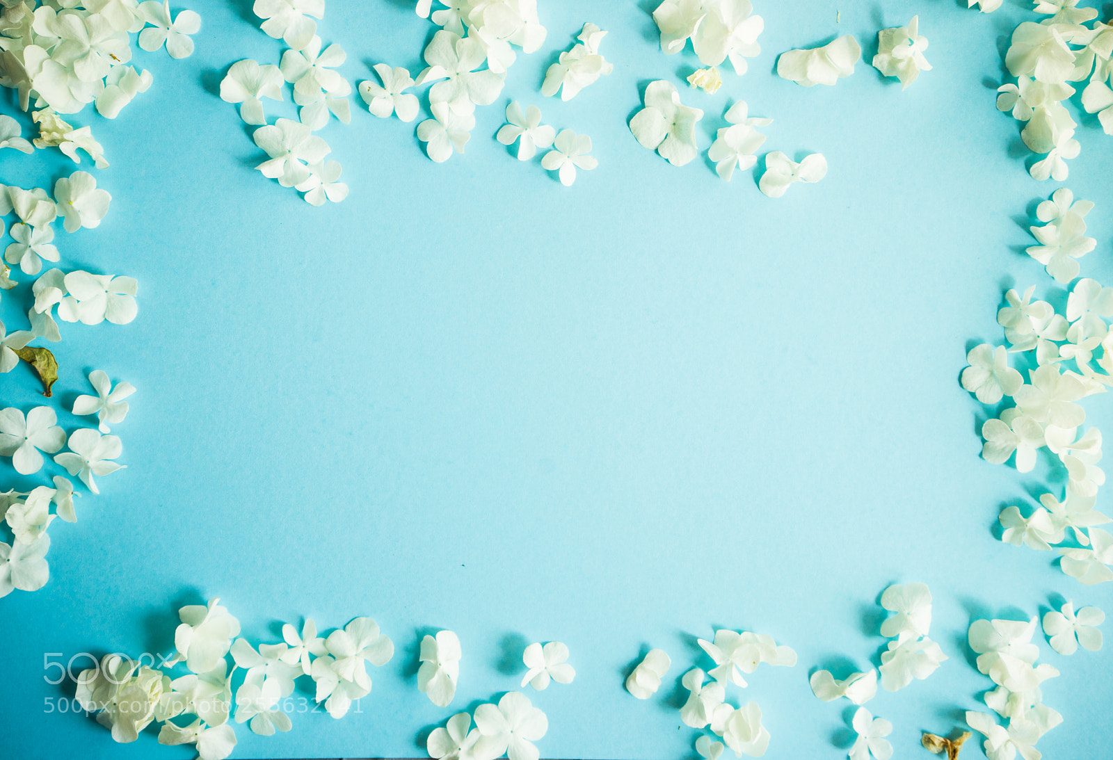 Sony a7 sample photo. Floral concept for card photography