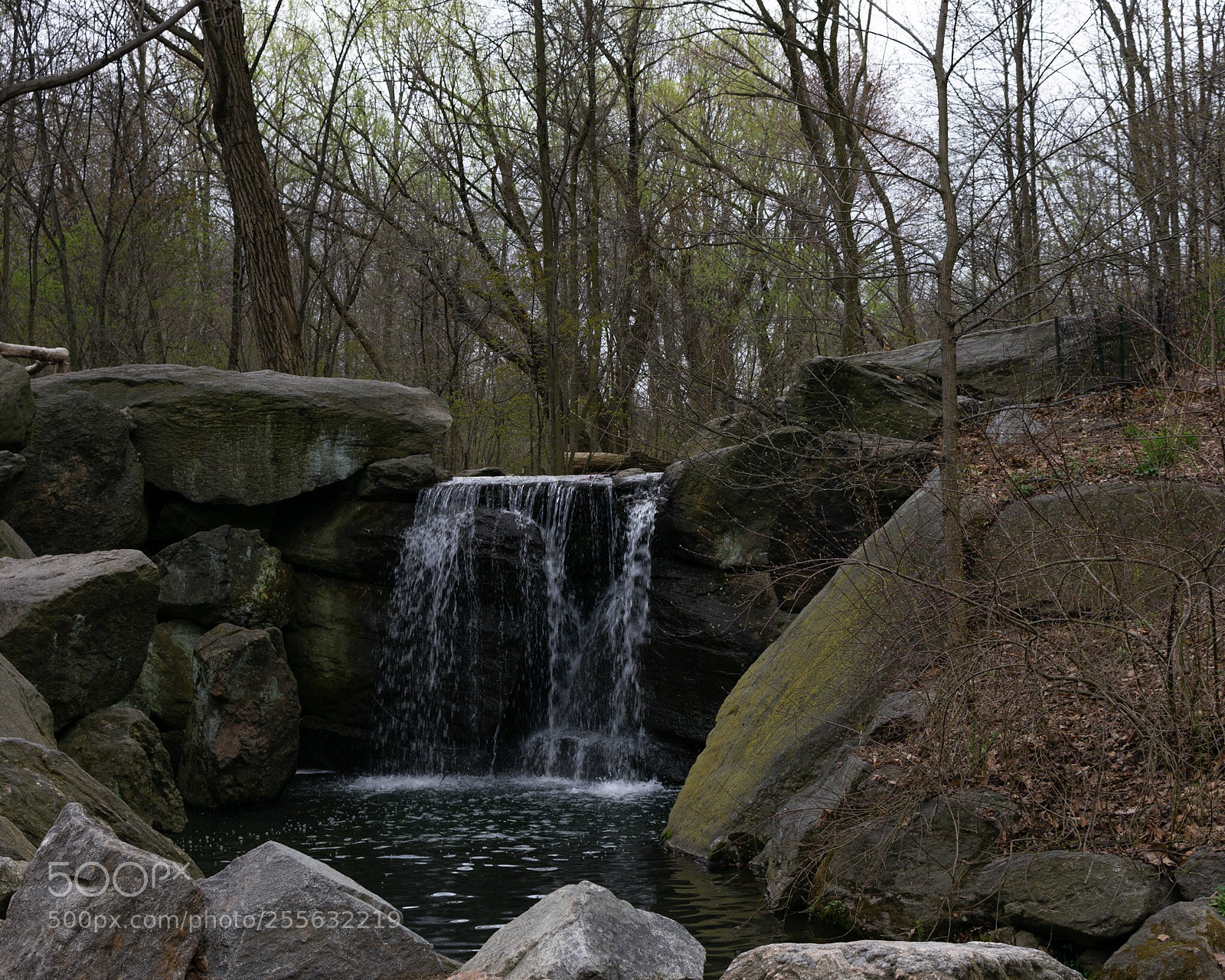 Nikon D3400 sample photo. The loch photography