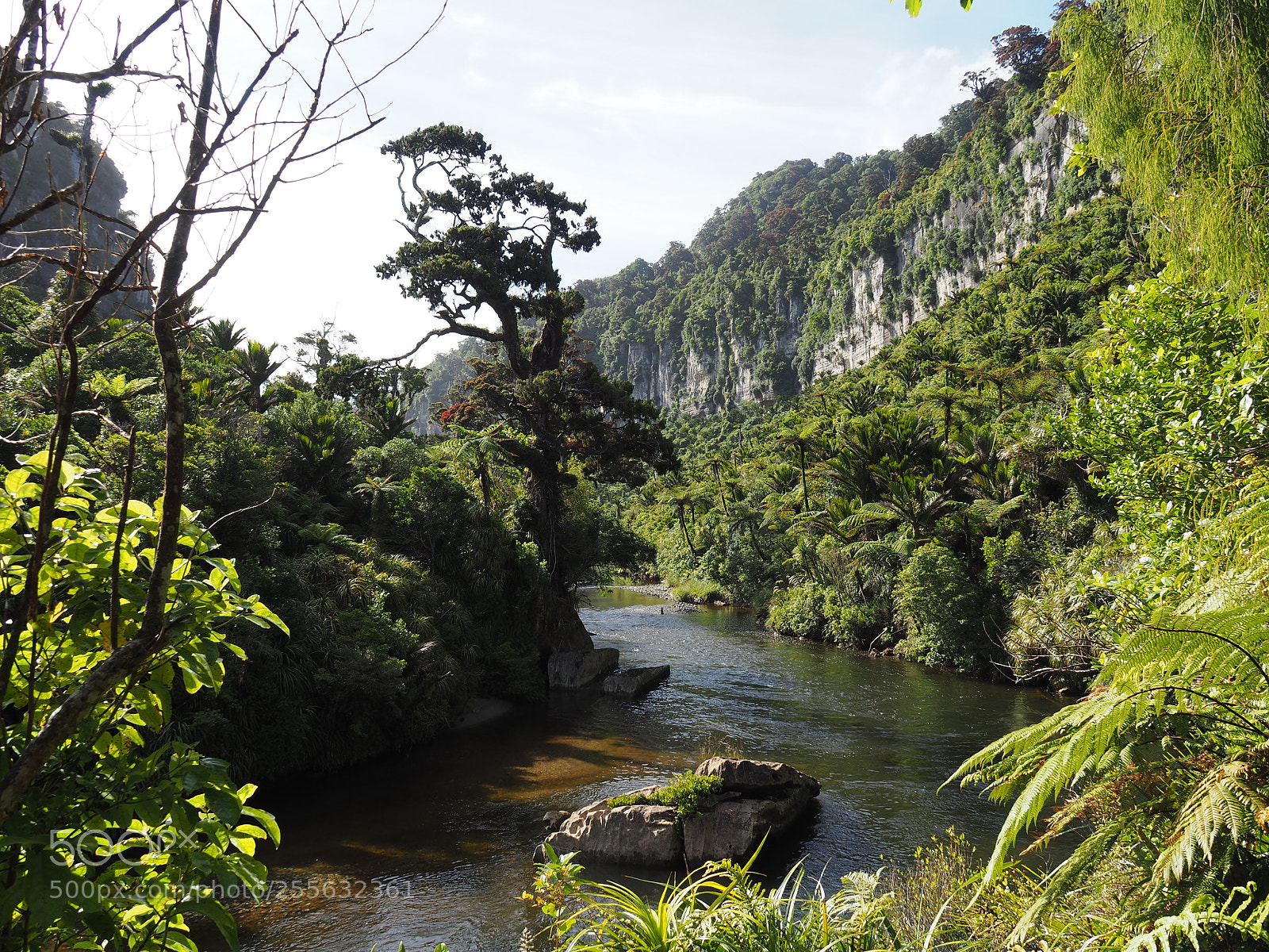Olympus OM-D E-M10 II sample photo. Pororari river track photography