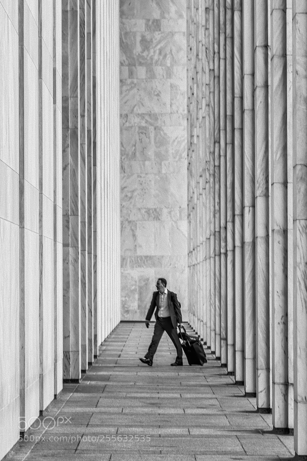 Nikon Df sample photo. Towering heights 3: the traveler photography