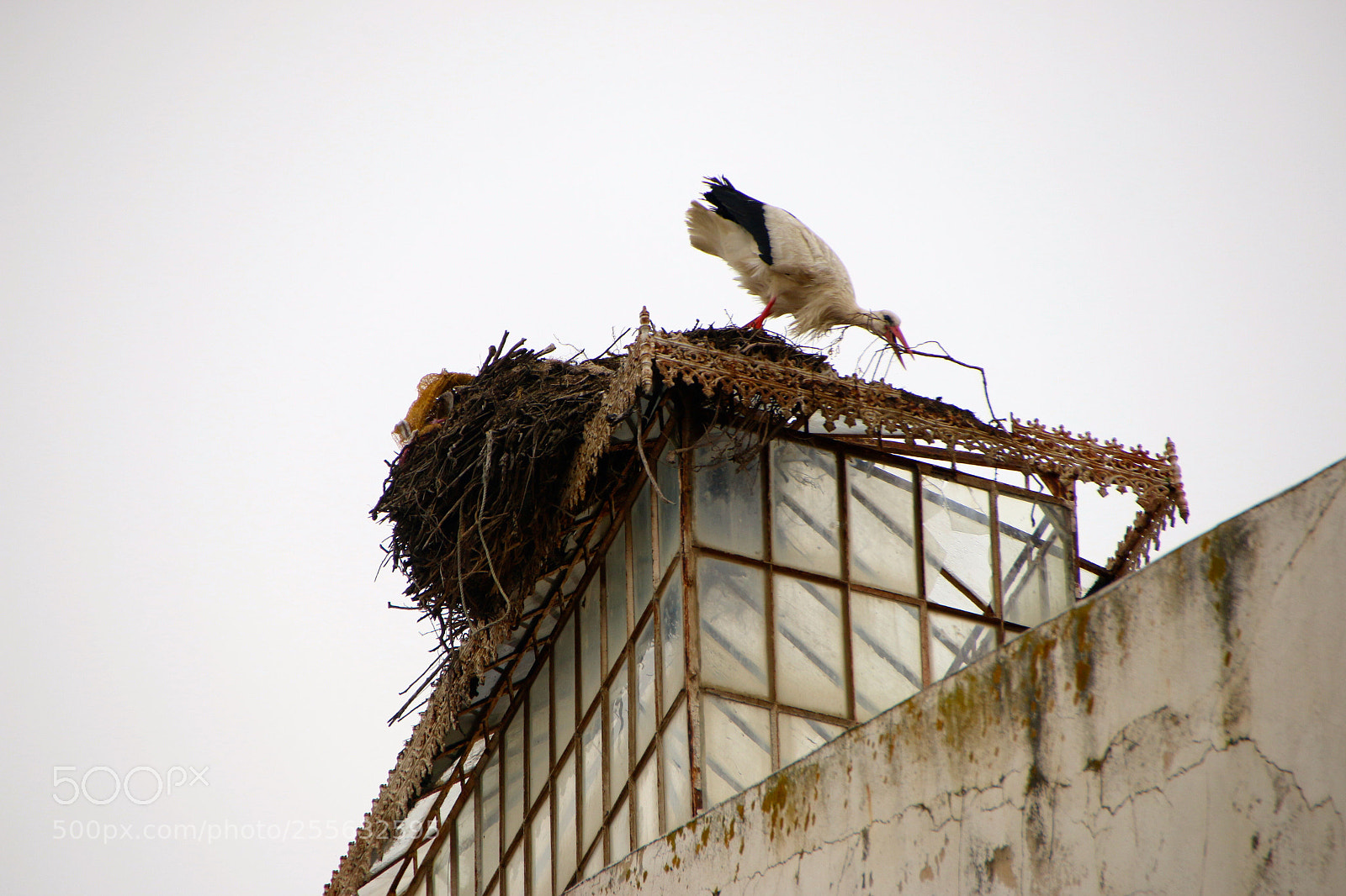 Canon EOS 70D sample photo. Untitled photography