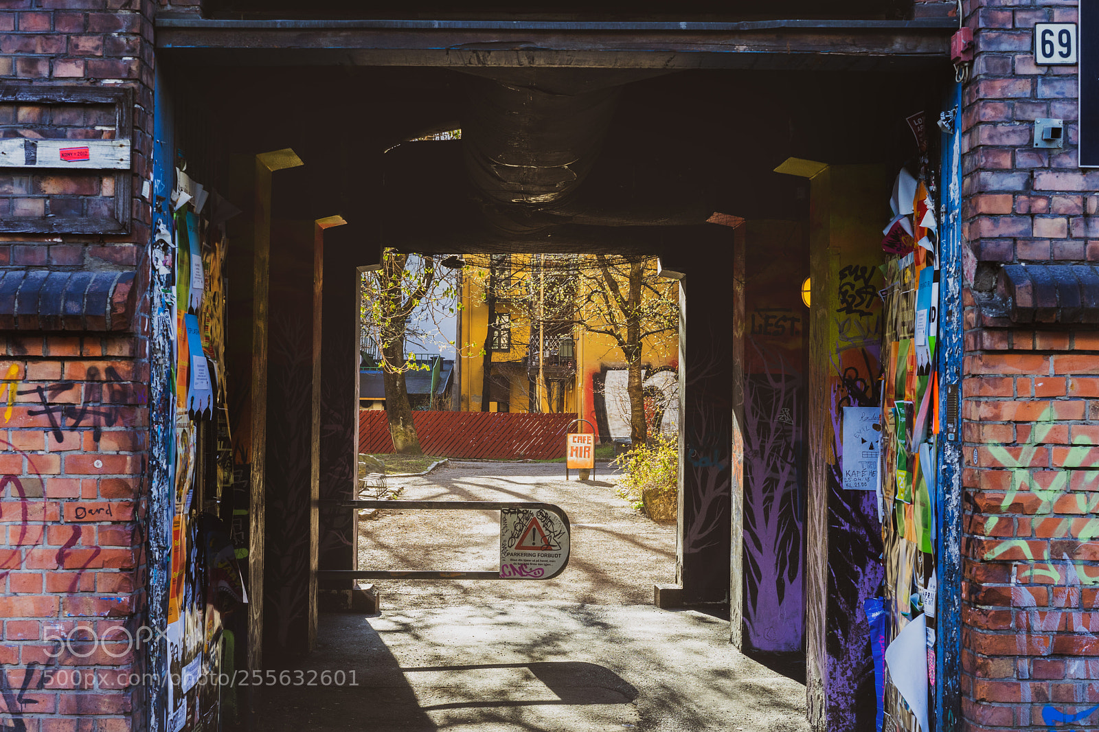 Sony a7 II sample photo. The alley. photography