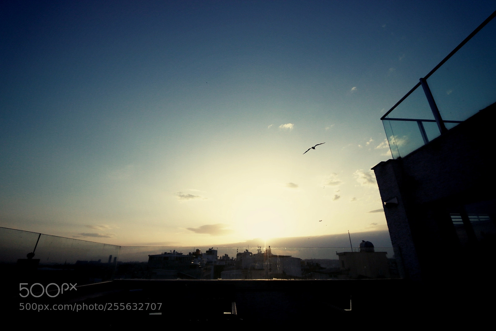 Canon EOS 70D sample photo. Untitled photography