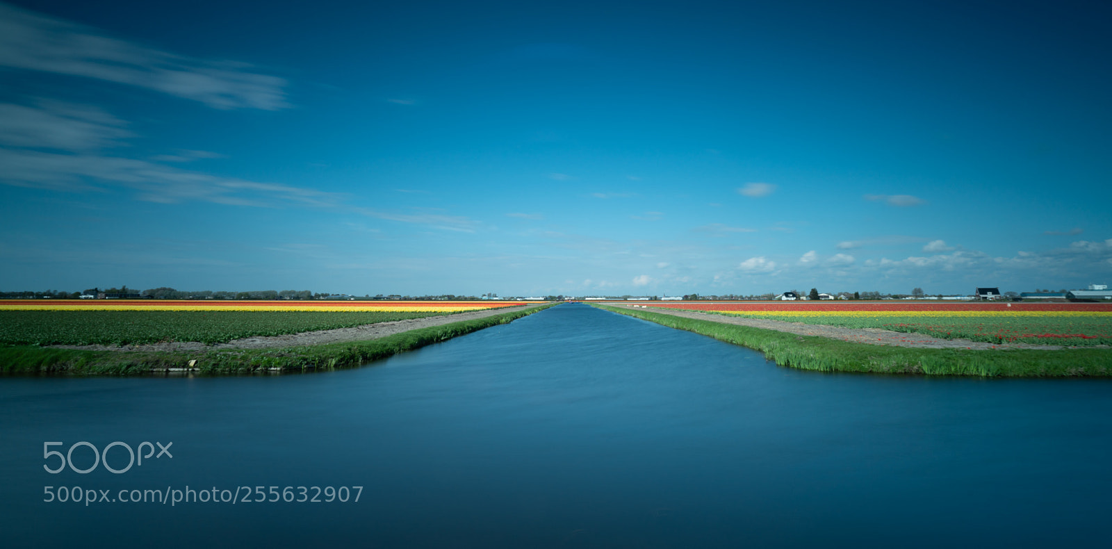 Sony a7R III sample photo. Lyu photo photography