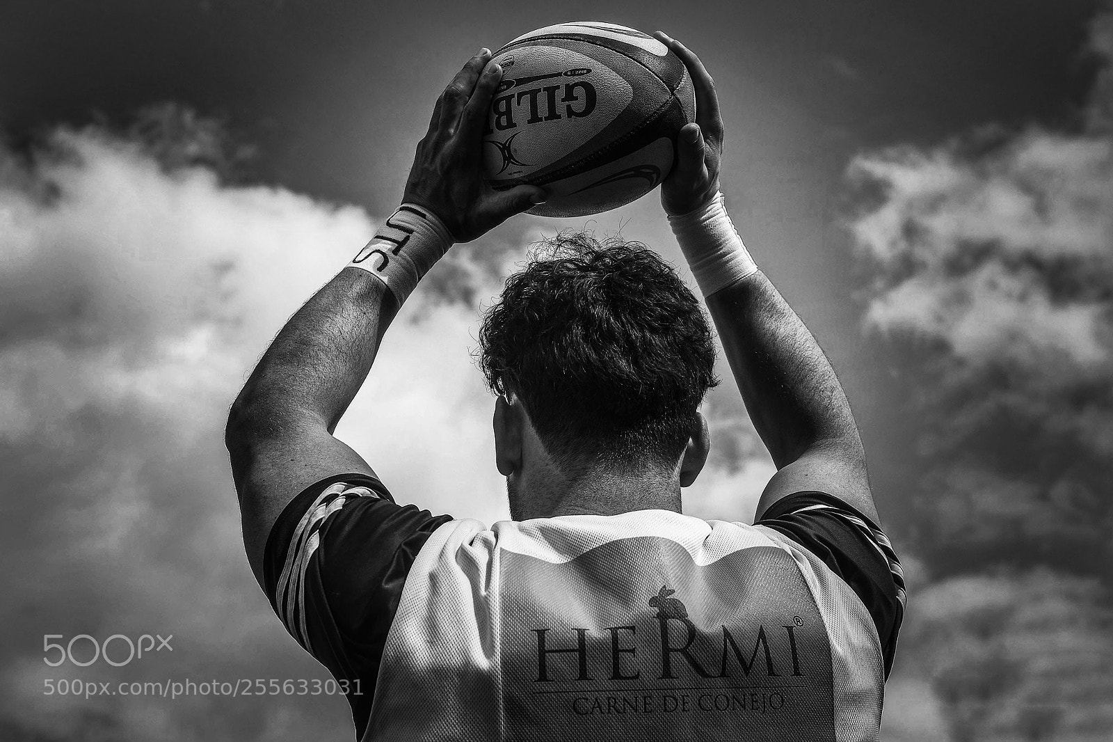Fujifilm X-T1 sample photo. Untitled photography