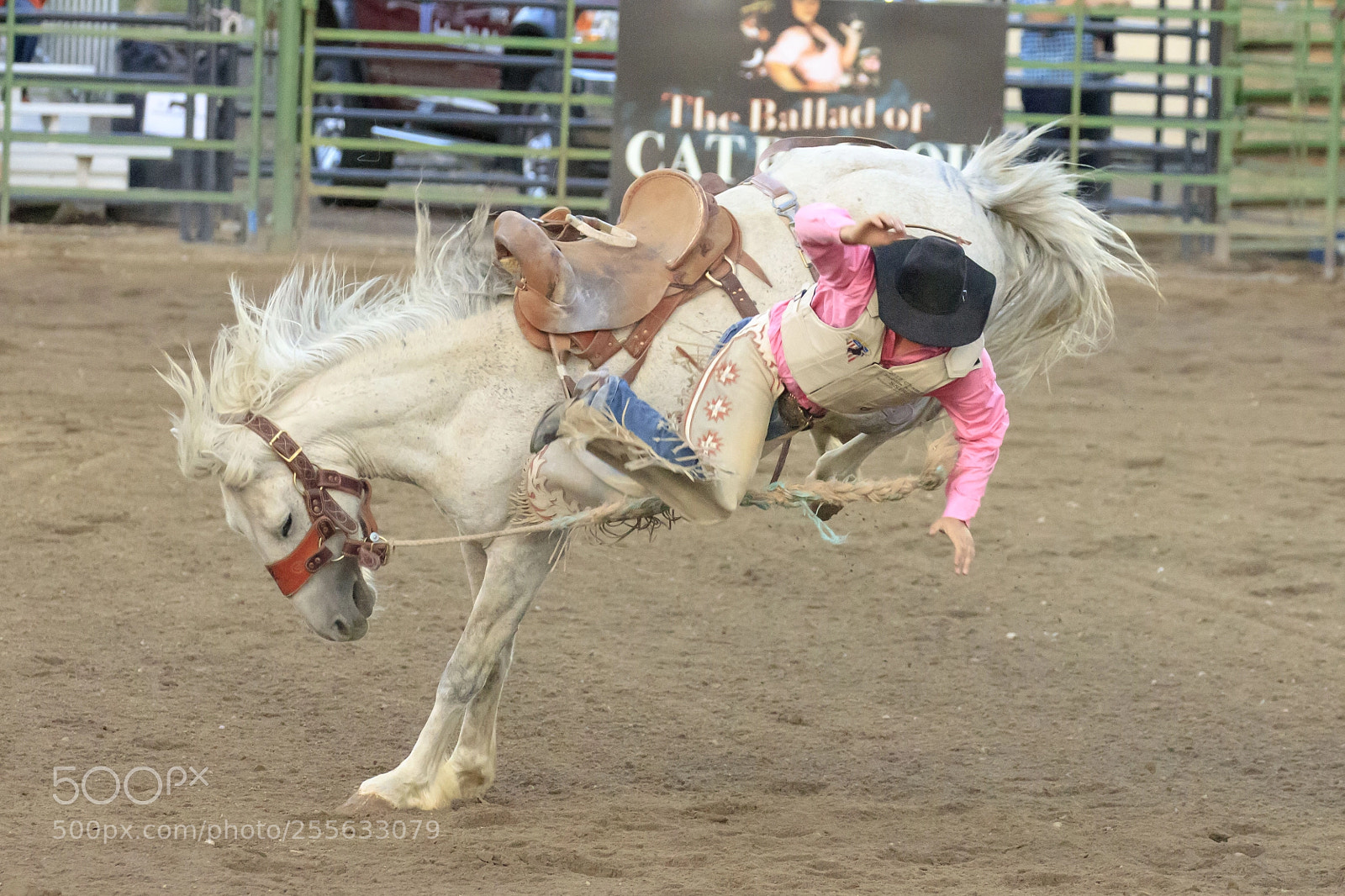 Canon EOS 5DS sample photo. Jolly jumper photography