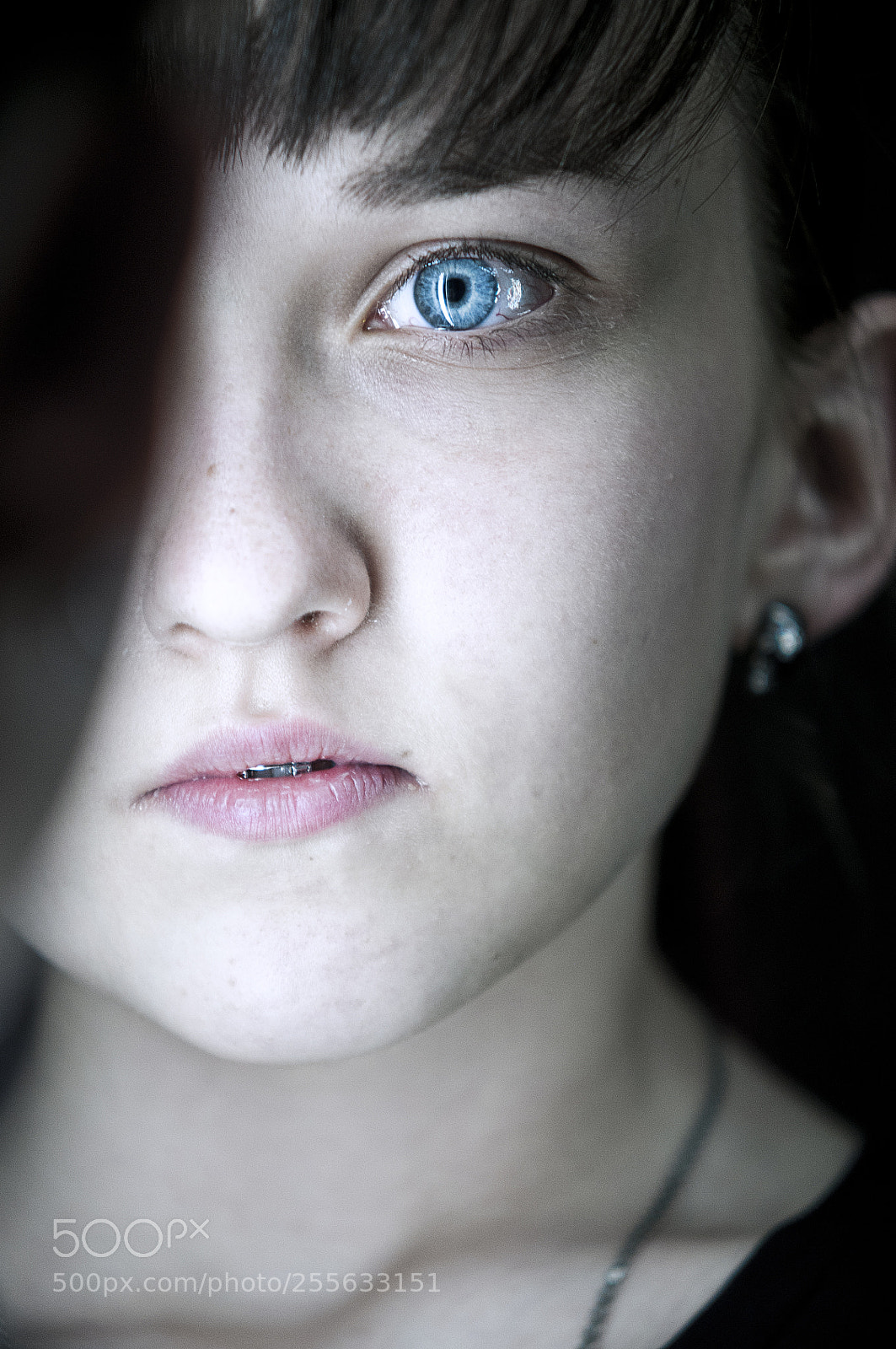 Nikon D300 sample photo. Untitled photography