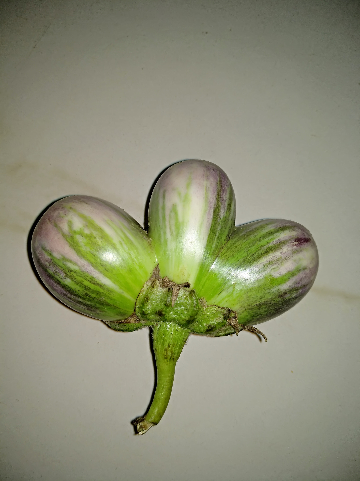 Xiaomi MI MAX 2 sample photo. Brinjal ~ wonderful photography