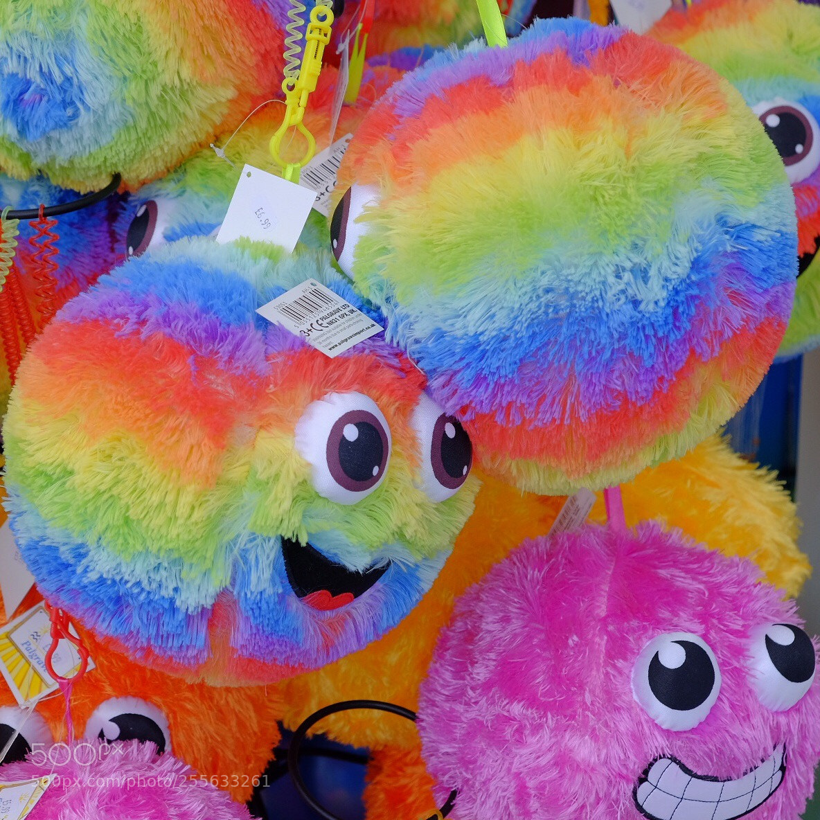 Fujifilm X-T1 sample photo. Happy furry balls. need photography