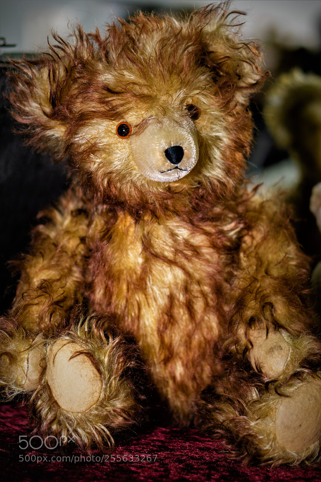 Sony a6000 sample photo. Brummteddy:)) photography