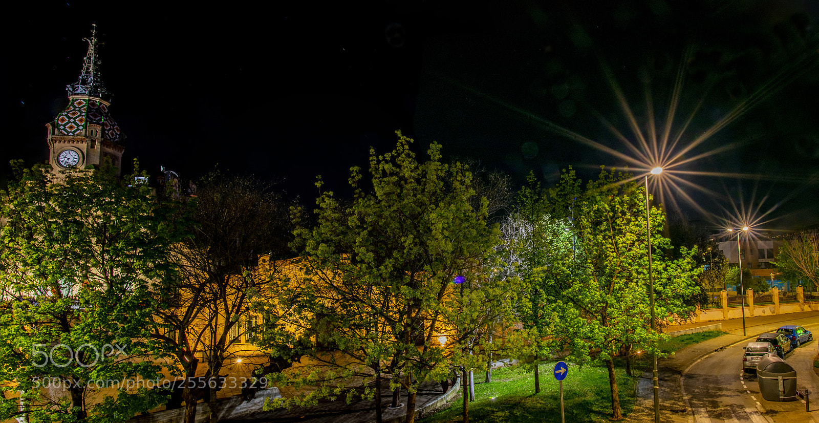 Nikon D5300 sample photo. From my window photography