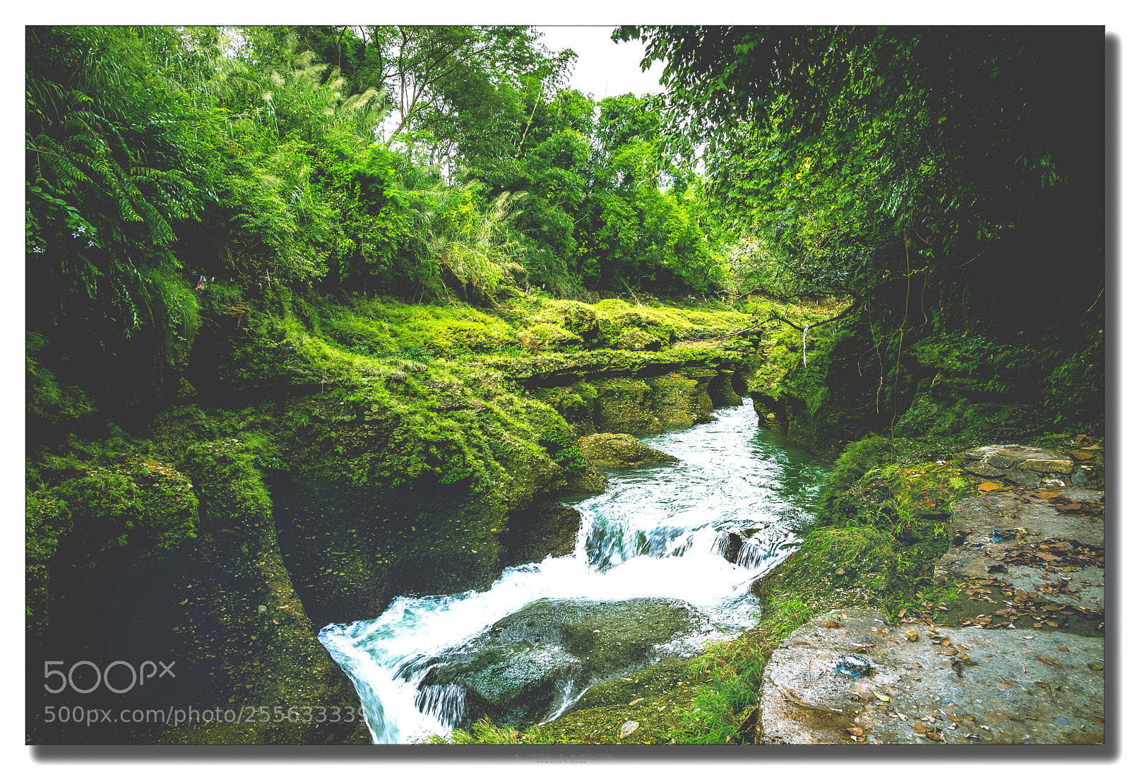 Panasonic Lumix DMC-GX8 sample photo. Spring water from himalaya photography