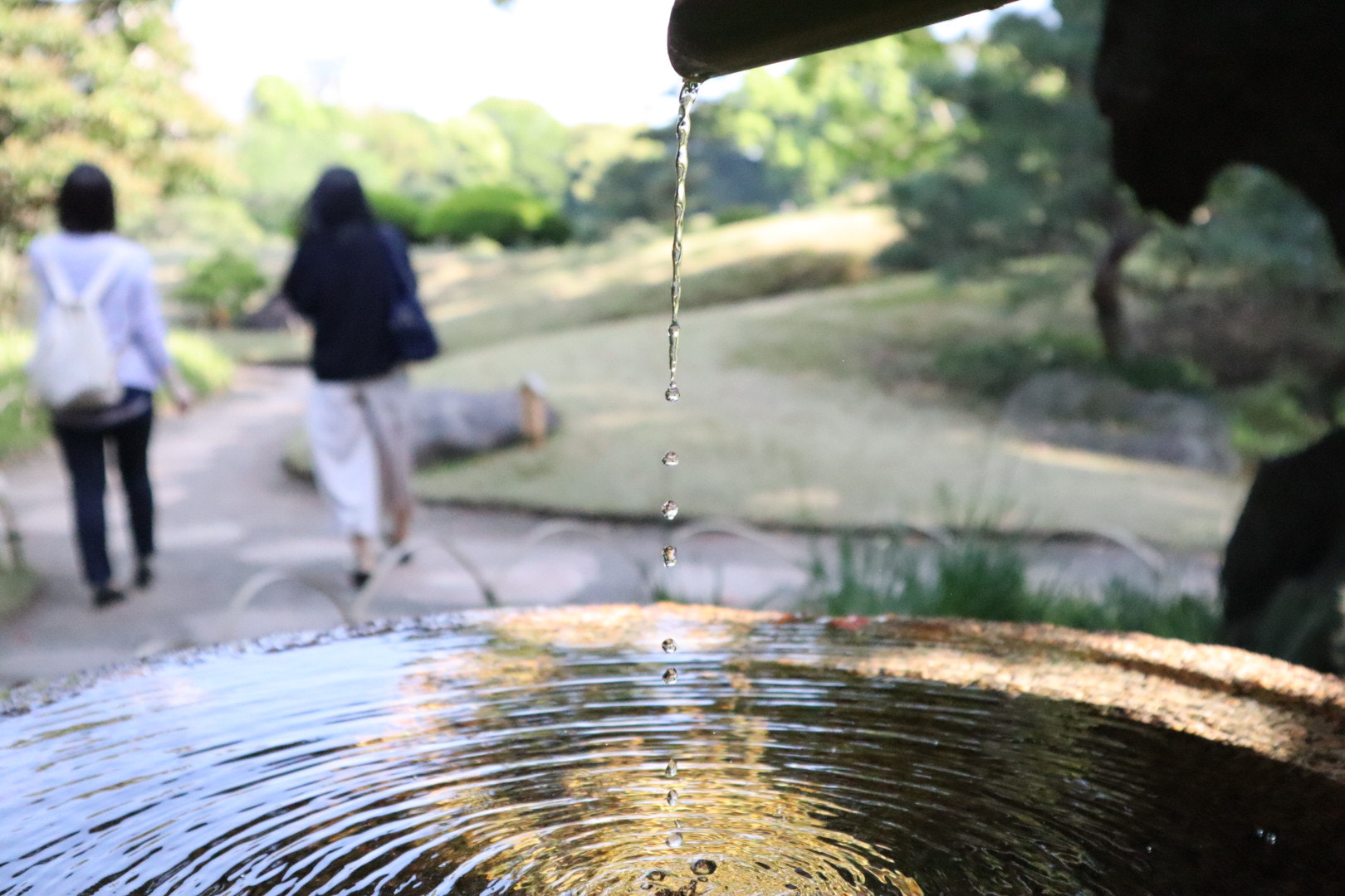 Canon EOS M50 (EOS Kiss M) + Canon EF-M 15-45mm F3.5-6.3 IS STM sample photo. From city to nature photography