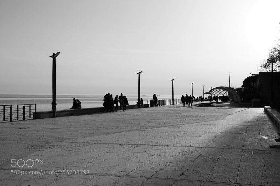 Canon EOS 6D sample photo. Di pomeriggi e di.. photography