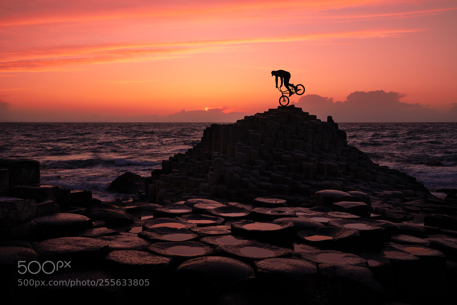 Sony a7R III sample photo. Redbull extreme bmx photography