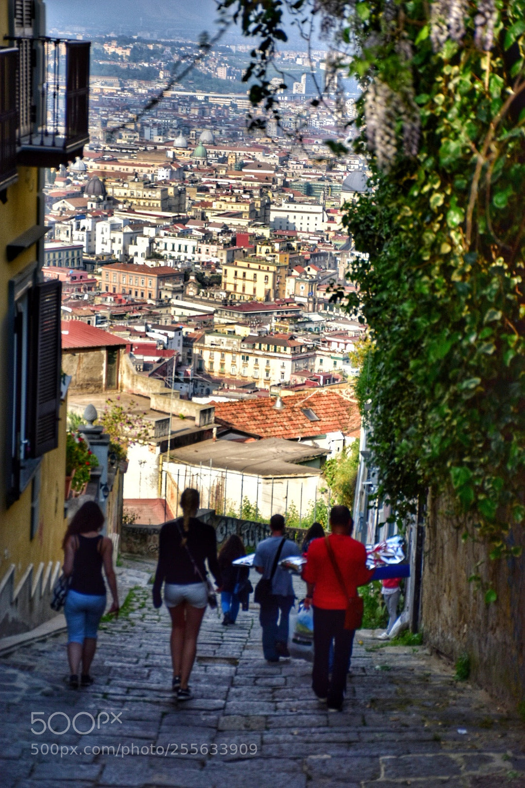 Nikon D5600 sample photo. La pedamentina photography