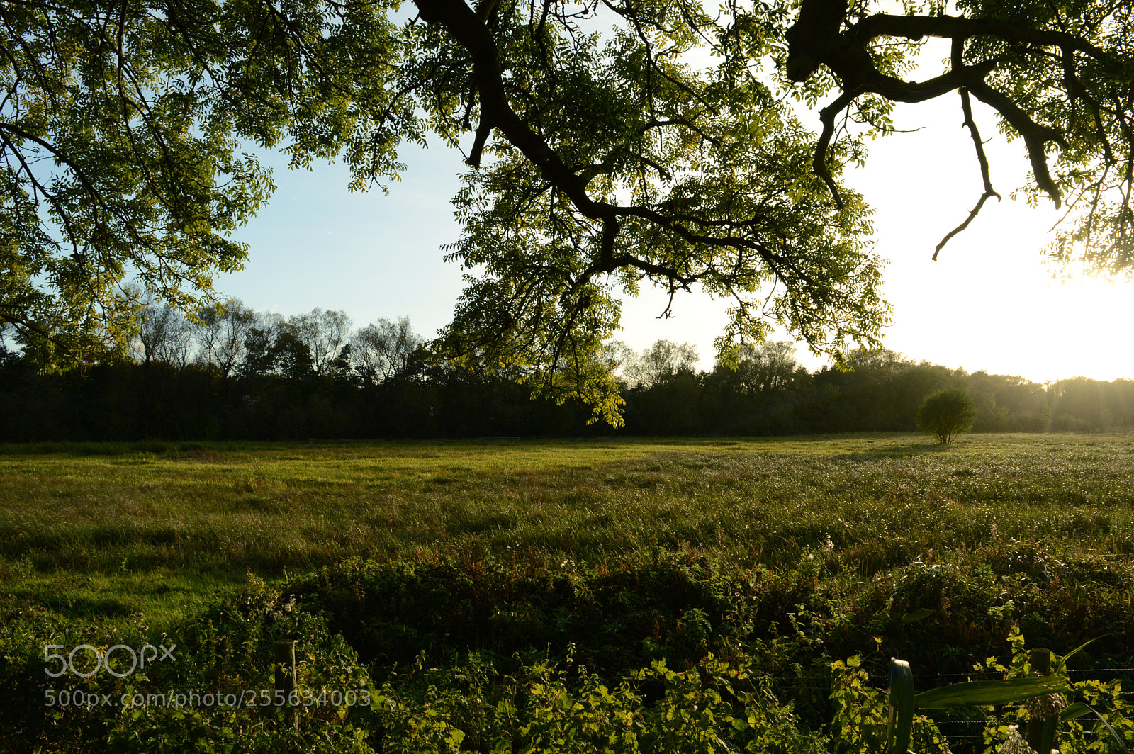 Nikon D3200 sample photo. Farm sunset 1 photography