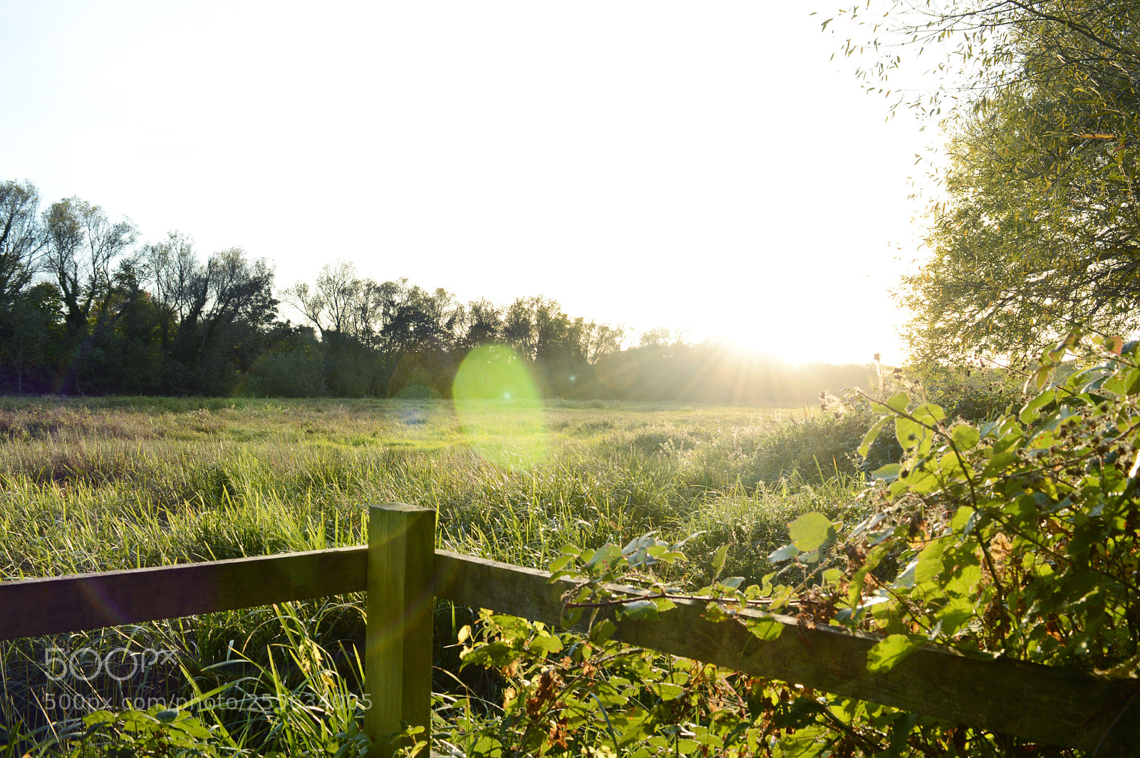 Nikon D3200 sample photo. Light farm sunset photography