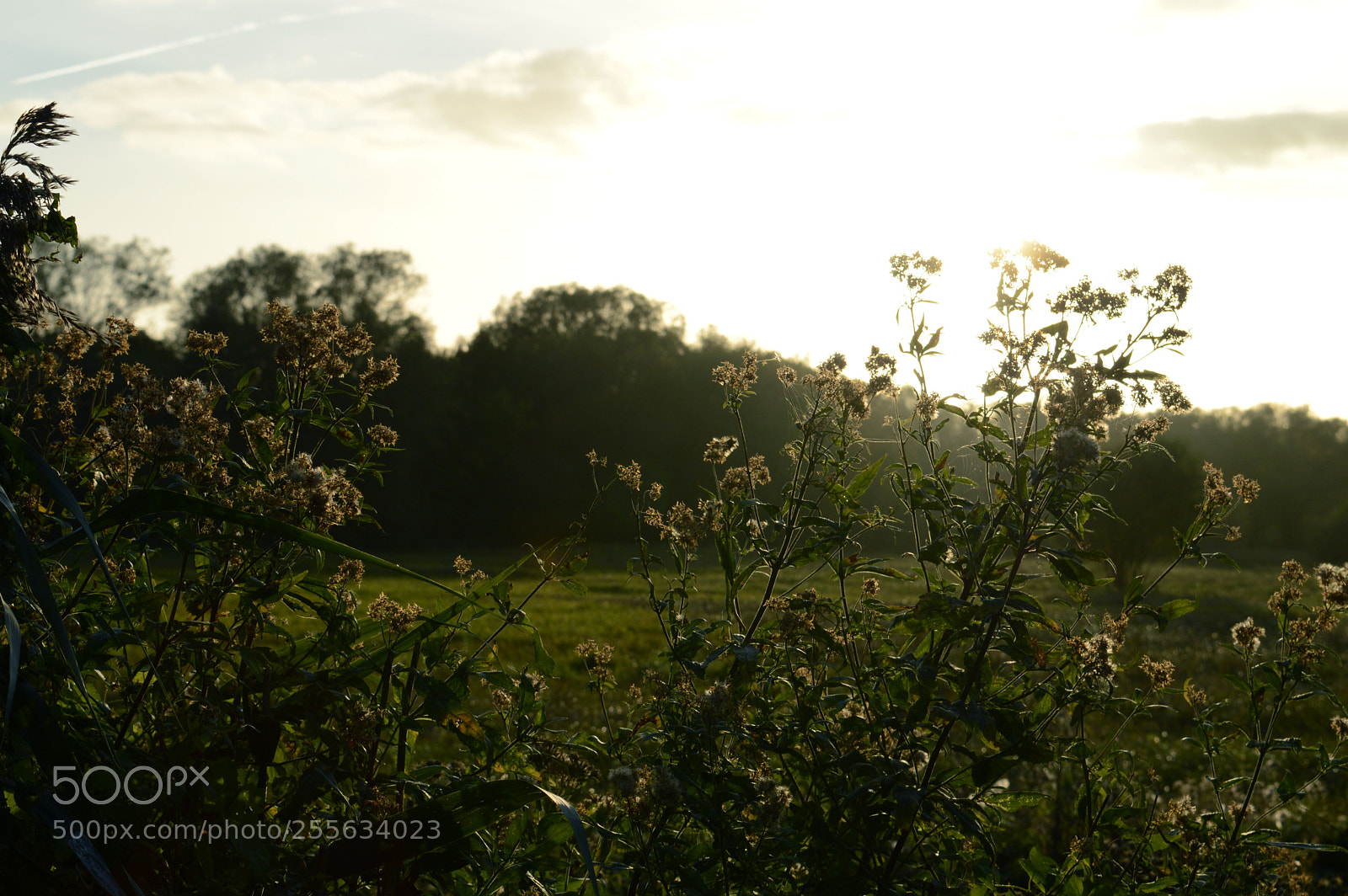 Nikon D3200 sample photo. Farm sunset 2 photography