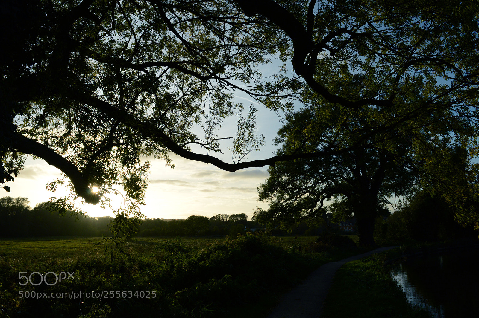 Nikon D3200 sample photo. Farm sunset 3 photography